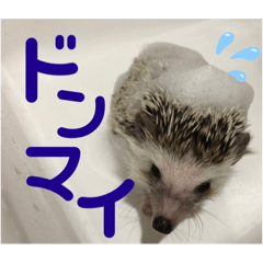 AK_20221005213325