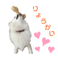 yumechomu_20221005215041
