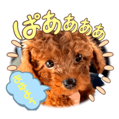 Rinrin_20221005225733