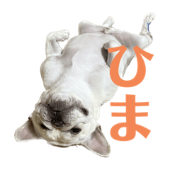 bunbull_day