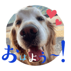 ゴルすたんぷ