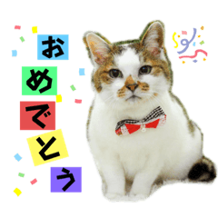 はまぐりの楽しい生活