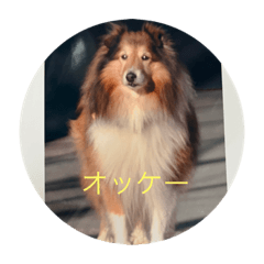 ima_20221006125014
