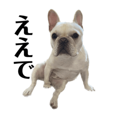 bunbull_20221006133423