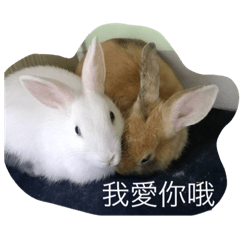 魚蛋&皮蛋