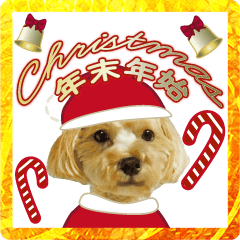 飛び出す!犬のまるちゃん年末年始(実写)