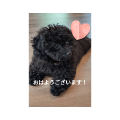 Ayano_20221006163218