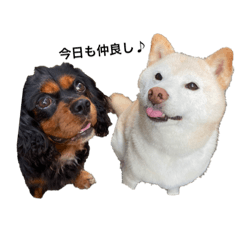 Minorin_20221006174355