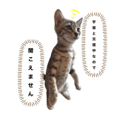 sayuri_20221006223523