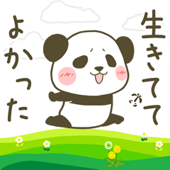 Move! Chubby Panda