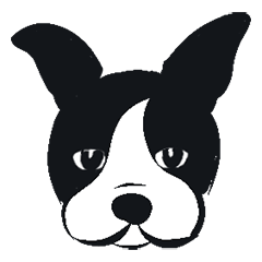 Boston terrier girl NATSU