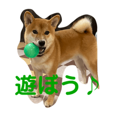 arisa_20221007001526