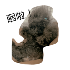 小公主 1