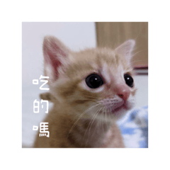 月餅成為大餅的路上