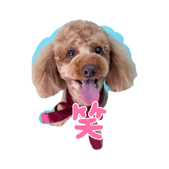 maichi_20221007151510