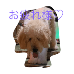 Monaka_20221007163132