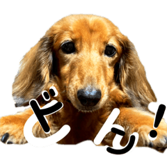 Kawaii Fran-chan sticker#2