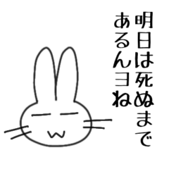 Rabbit(provisional name)