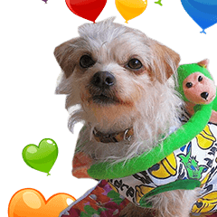 Moumoo Family - revision