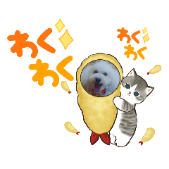 kii_20221007190757