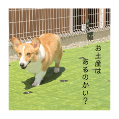 RINA_20221008080845