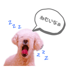 rina_20221007192328