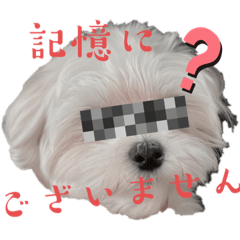 ji_20221008010121