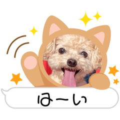 junko_20221008013858