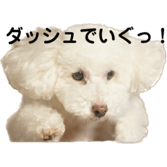 AzuTamaMochiMonaKina7