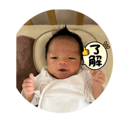 yanagi_20221008134653