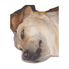 Mizuki_20221008140240