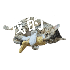太子小姐