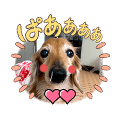 hana_20221008143310