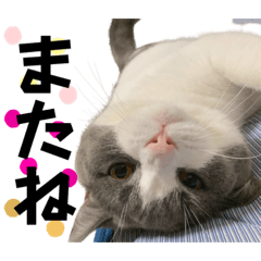 Natsumi_20221008153534