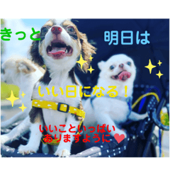 MOYU_20221008162539
