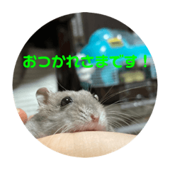 Y.Neko_20221008195100