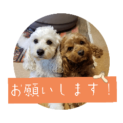 KOSUKE_20221008175607