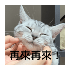 焦了啦別烤ㄌ
