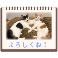 taki_20221008190027