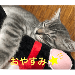 arisa_20221008210537