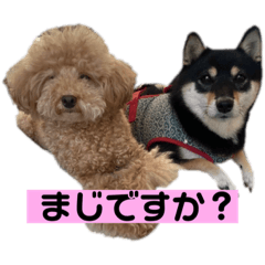 Sakurako_20221008235123