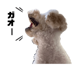 yukari_20221008224419