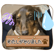 QuRiMi_20221009120055