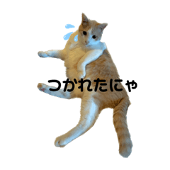 Sayuri_20221009005346