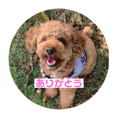 Walksamu_20221009010126