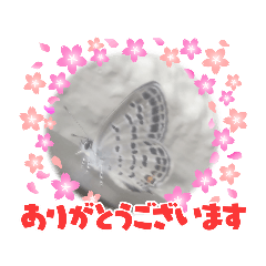 Megumi_20221009141128