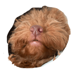 Arisa_20221009121938