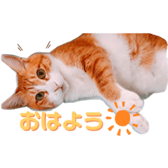 misa_20221009164159
