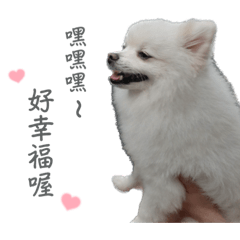 這裡有隻可愛的狗勾勾勾