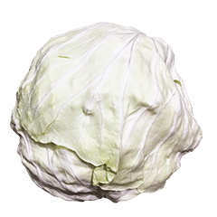 Cabbage stems